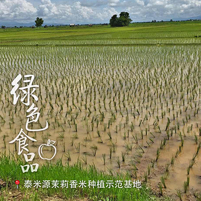 泰国香米 泰米源 礼盒装5KG
